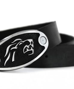 ZSC Lions